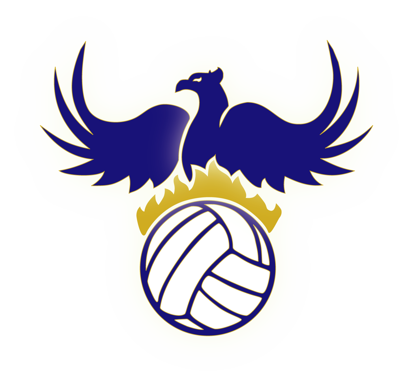 ANU Volleyball Club logo